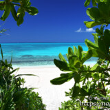 小道の先の青い海-長間浜-