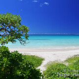 ビーチへ続く小道-渡口の浜-