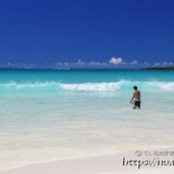 波を待つ親子-渡口の浜-