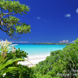 緑豊かなビーチの入り口-渡口の浜-