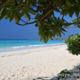 モンパの木陰-渡口の浜-