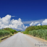 道の先の入道雲