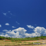 さとうきび畑の先の入道雲