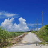 道の先の入道雲