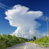 道の先にそびえる巨大な入道雲