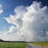 道の先にそびえる巨大な入道雲