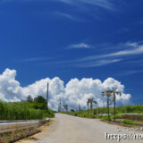 道の先にそびえる入道雲