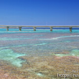 来間大橋たもとのサンゴ礁