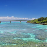 来間大橋たもとのサンゴ礁