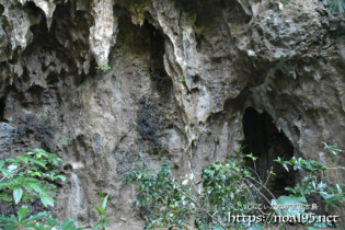 洞窟と鍾乳石-大竹中洞窟