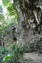 頭上に覆いかぶさる鍾乳石-大竹中洞窟