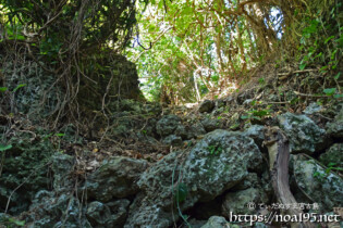 洞窟への降り口から見た外の景色-大竹中洞窟