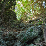 洞窟への降り口から見た外の景色-大竹中洞窟
