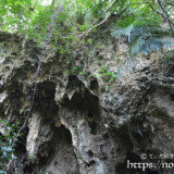 垂れ下がる鍾乳石-大竹中洞窟