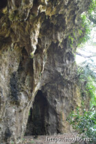 垂れ下がる鍾乳石と洞窟-大竹中洞窟