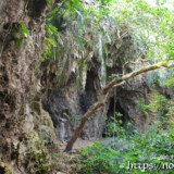琉球石灰岩の壁と洞窟-大竹中洞窟