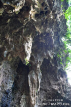 頭上に覆いかぶさる鍾乳石-大竹中洞窟
