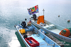 大漁旗を飾った漁船（2021年の正月撮影）