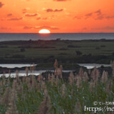 冬のサトウキビ畑と水平線に沈むだるま夕陽