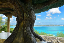 松の木展望台から見る海の風景