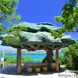 来間島の松の木展望台