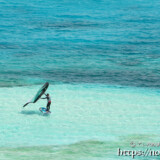 ウィンドサーフィンを楽しむ人-松の木展望台より