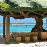 松の木展望台と来間大橋