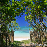 小道の先の青い海