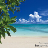 木陰から見る青い海