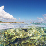 入道雲と水中のサンゴ-シギラビーチ-