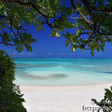 ビーチ入り口の木陰から見る青い海