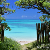 ビーチへ続く小道