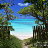 小道の先の青い海