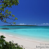 木陰から見る美しいビーチと青い海