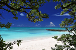 木陰から見る美しいビーチと青い海