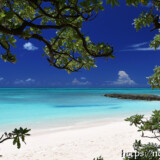木陰から見る美しいビーチと青い海