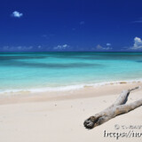 ビーチの流木と打ち寄せる波