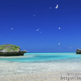 青空に舞うアジサシ-アウダウヌヒダ-