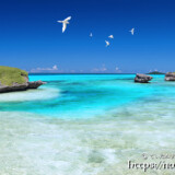 アウダウ とアジサシ-アウダウヌヒダ-