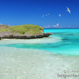 アウダウ とアジサシ-アウダウヌヒダ-