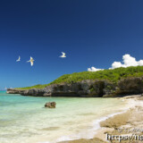 入道雲とアジサシ-アウダウヌヒダ-