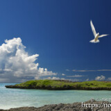 入道雲とアジサシ-アウダウヌヒダ-