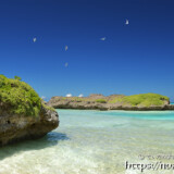 青空に舞うアジサシ-アウダウヌヒダ-