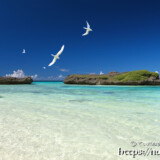 アジサシの舞う浜-アウダウヌヒダ-