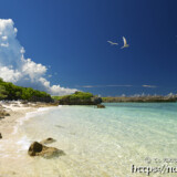 入道雲とアジサシ-アウダウヌヒダ-