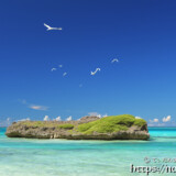 夏空に舞うアジサシ-アウダウヌヒダ-