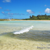 ミジュンの大群の上を通り過ぎる波-クウラビーチ