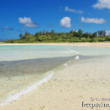 ミジュンの大群の上を通り過ぎる波-クウラビーチ