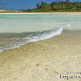 ミジュンの大群の上を通り過ぎる波-クウラビーチ