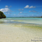 波と一緒に漂うミジュンの大群-クウラビーチ